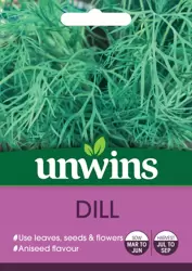 Herb Dill - image 2