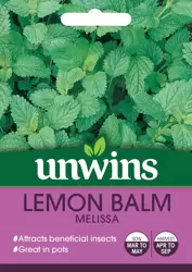 Herb Lemon Balm Melissa - image 1