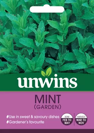 Herb Mint (Garden) - image 1