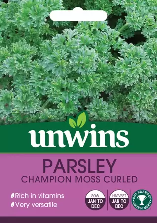 Herb Parsley Champion Moss Curled - image 1