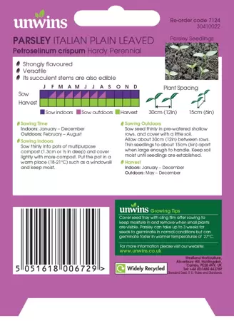 Herb Parsley Italian Plain Leaved - image 2