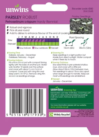 Herb Parsley Robust - image 2