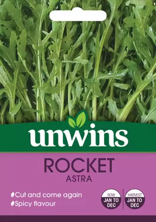 Herb Rocket Astra - image 1