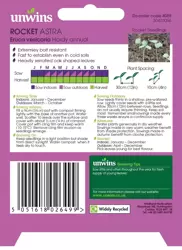 Herb Rocket Astra - image 2