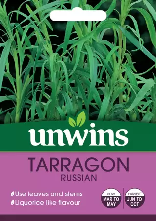 Herb Russian Tarragon - image 1