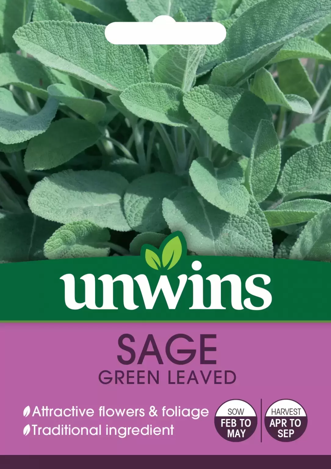 Herb Sage Green Leaved from Fernhill IE