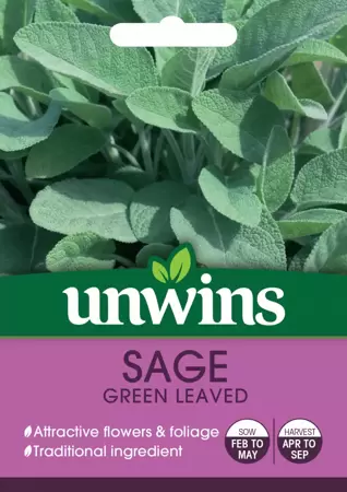 Herb Sage Green Leaved - image 1