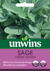 Herb Sage Green Leaved - image 1