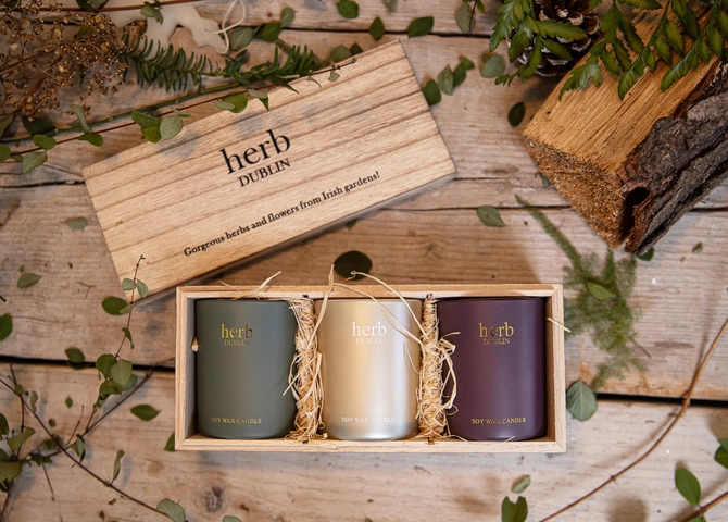 Herb Trio Votive Set Holly Jolly Misteltoe & Wine Comfort & Joy