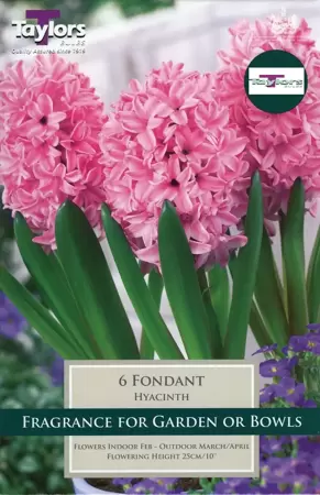HYACINTH FONDANT