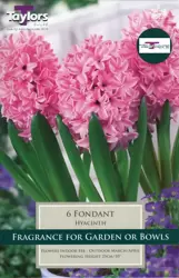 HYACINTH FONDANT