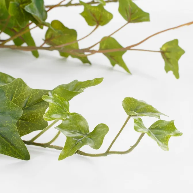 Ivy hanging green - l86xw22xh15cm - image 2
