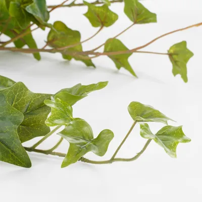 Ivy hanging green - l86xw22xh15cm - image 2