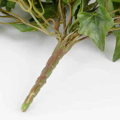 Ivy hanging green - l86xw22xh15cm - image 4