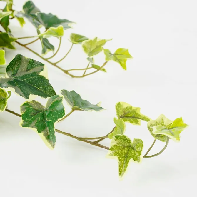 Ivy hanging green variegated - l71xw20xh15cm - image 3