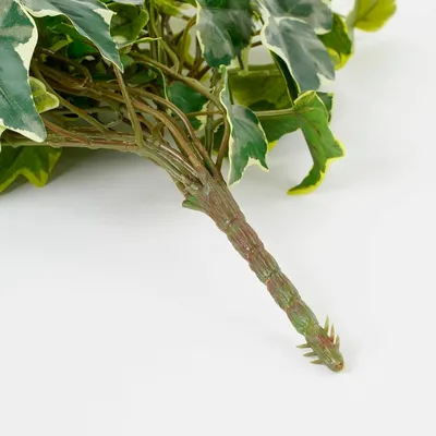 Ivy hanging green variegated - l71xw20xh15cm - image 4