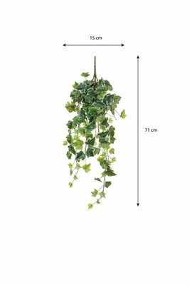 Ivy hanging green variegated - l71xw20xh15cm - image 5