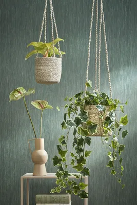 Ivy hanging green variegated - l86xw22xh15cm - image 5