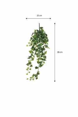 Ivy hanging green variegated - l86xw22xh15cm - image 6