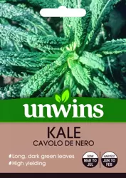 Kale Cavolo de Nero - image 1