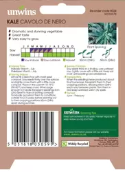 Kale Cavolo de Nero - image 2