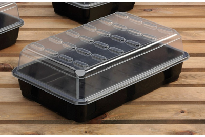 Large Budget Propagator With Holes