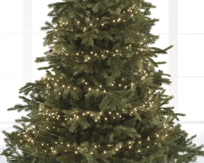 LED Compact Lights 4500cm-2000L | Warm White | 8 Function Twinkle Effect | Indoor & Outdoor - image 3