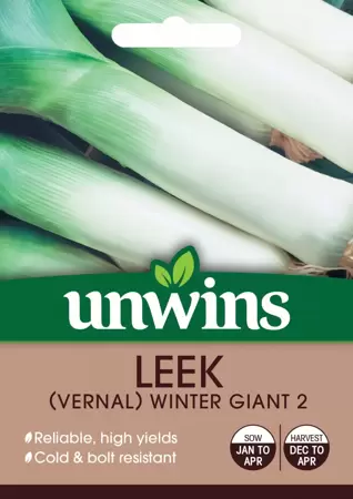 Leek (Vernal) Winter Giant 2 - image 1