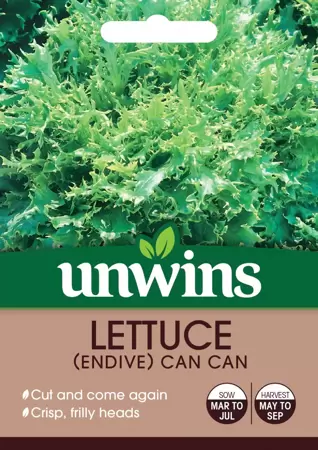 Lettuce (Endive) Can Can - image 1