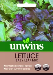 Lettuce (Leaves) Baby Leaf Mix - image 2