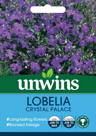 Lobelia Crystal Palace (Bush)