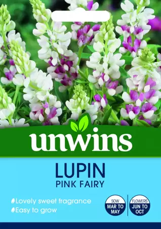 Lupin Pink Fairy