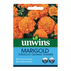 Marigold French Orange Winner