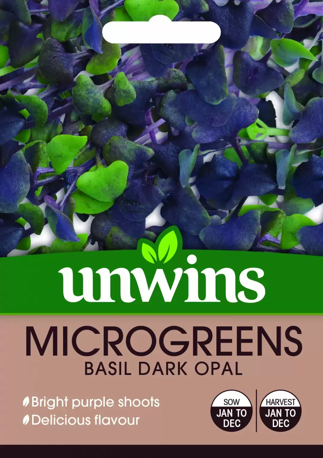 MicroGreens Basil Dark Opal at Fernhill IE