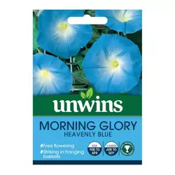 Morning Glory Heavenly Blue - image 1