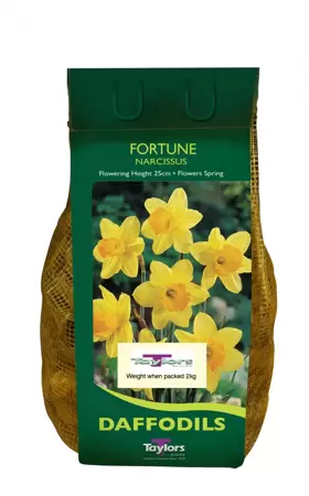 NARCISSUS FORTUNE 2kg