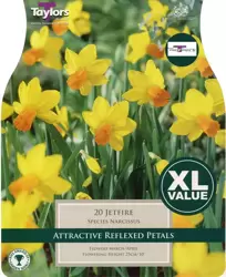 NARCISSUS JETFIRE