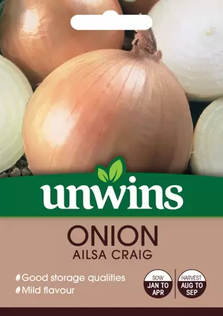 Onion Ailsa Craig - image 1
