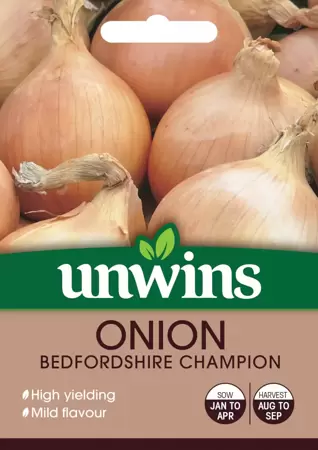 Onion Bedfordshire Champion - image 1