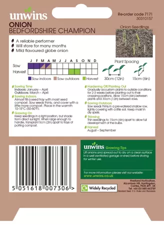 Onion Bedfordshire Champion - image 2