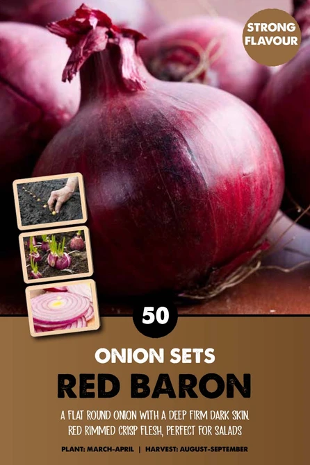 Onion Sets Red Baron