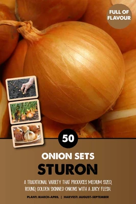 Onion Sets Sturon