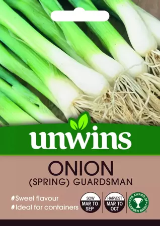 Onion Spring Guardsman - image 1