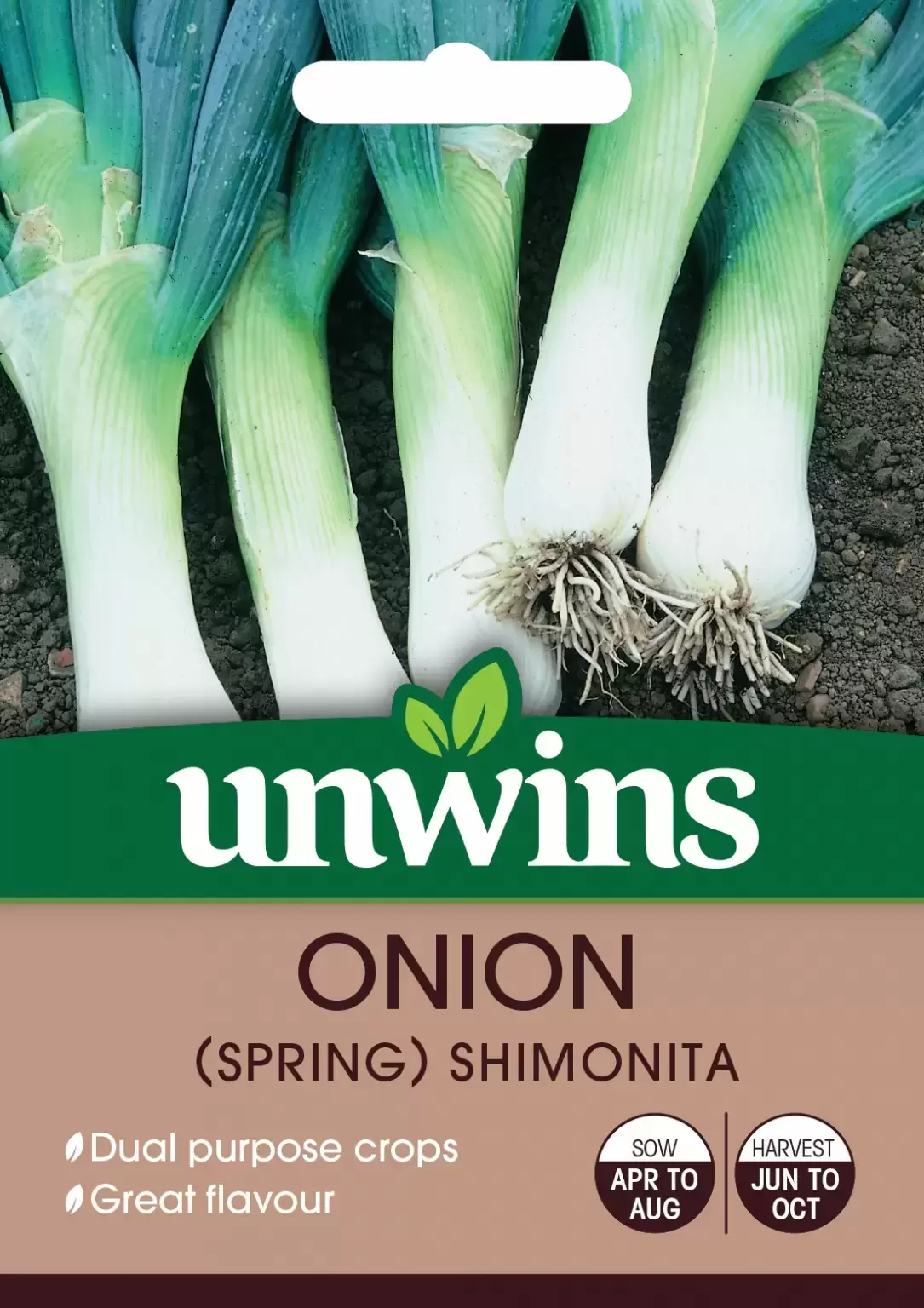 Onion Spring Shimonita from Fernhill IE
