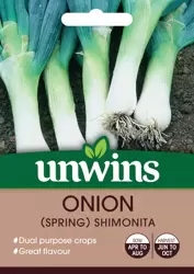 Onion Spring Shimonita - image 1