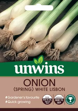 Onion Spring White Lisbon - image 1