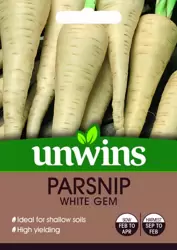 Parsnip White Gem - image 1