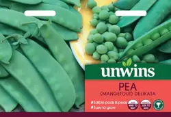 Pea (Mangetout) Delikata (Snow pea) - image 1