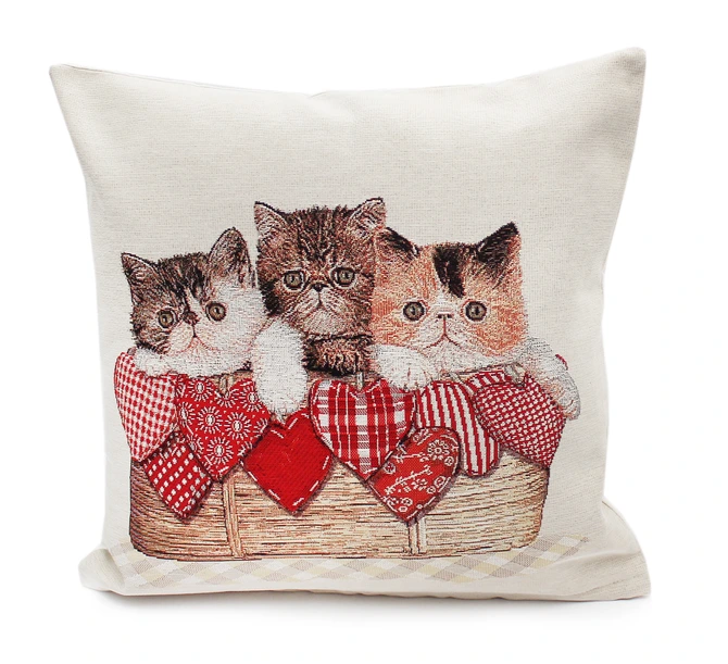 Peggy Wilkins Complete Cushion Persian Trio