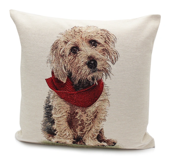 Peggy Wilkins Complete Cushion Rascal